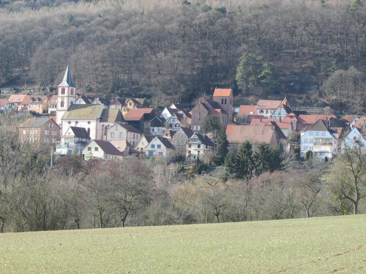 Gite L'Instant Durable Oberbronn Eksteriør billede